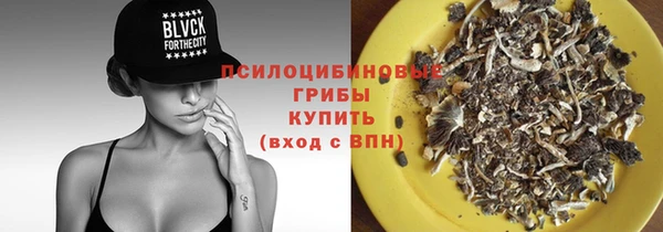 дживик Абаза