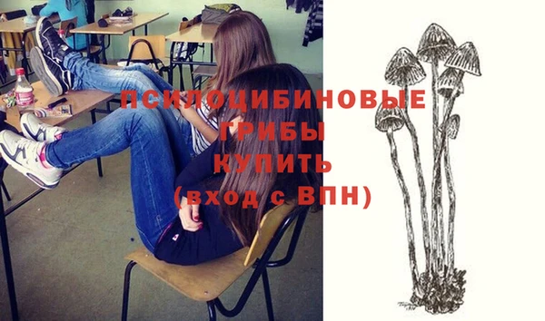 дживик Абаза