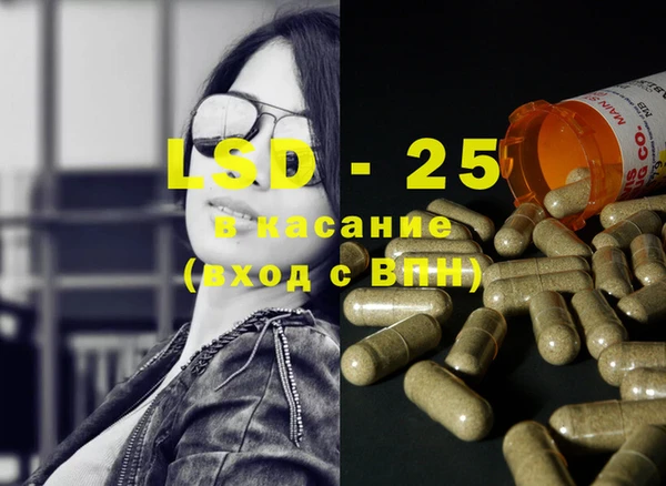 ПСИЛОЦИБИНОВЫЕ ГРИБЫ Белая Холуница