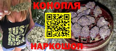 стаф Краснодар