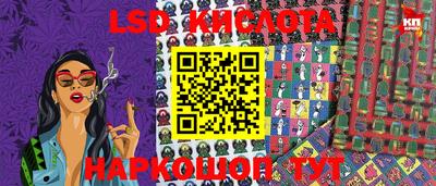 стаф Краснодар