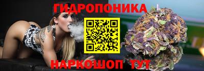 стаф Краснодар