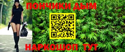 гидропоника Краснокаменск