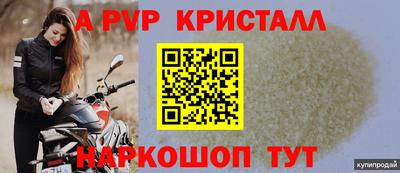 стаф Краснодар
