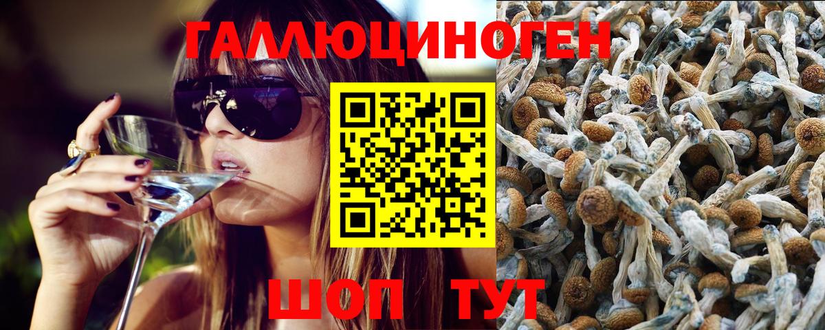 Псилоцибиновые грибы мухоморы  Псилоцибиновые грибы прущие грибы  Кандалакша  Вход с VPN 