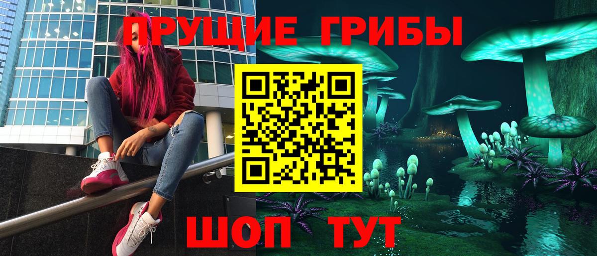 ГАШ Кандалакша