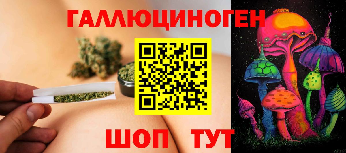 Галлюциногенные грибы Psilocybe Кандалакша
